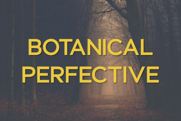 Botanical Perfective: A Modern Sans Serif for Clear Campaigns
