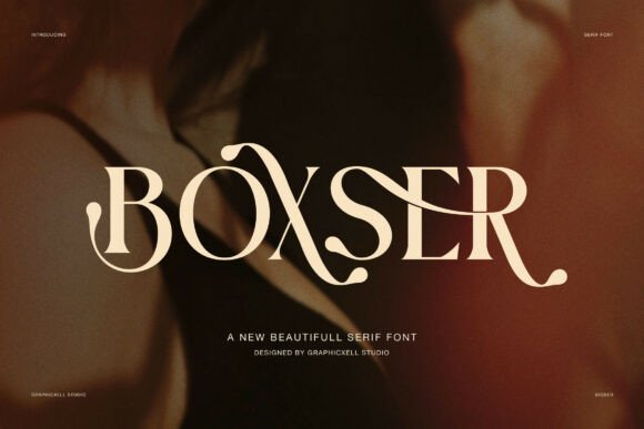 Boxser Font Review: Elevating Web Design with Editorial Style