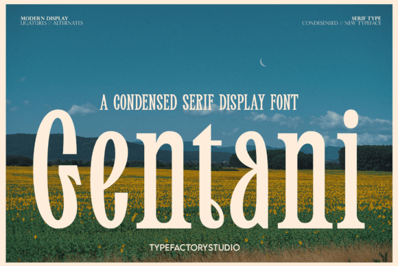 Gentani: A Serif Font for Timeless Design
