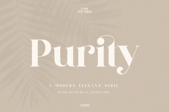 Purity Serif Review: A Designer's Take on Modern Elegance
